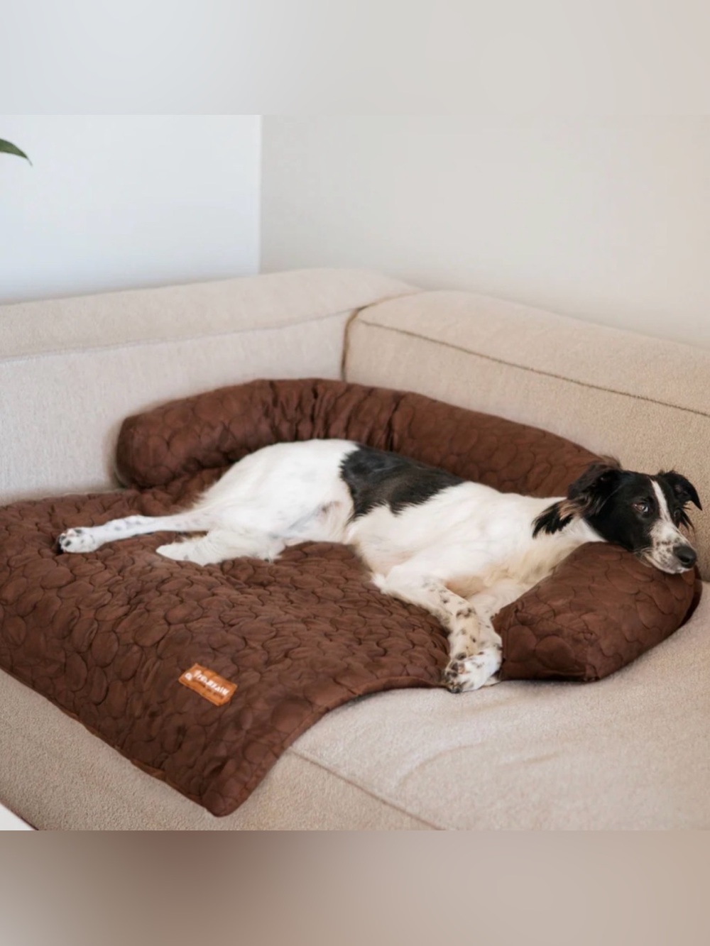 Pelsbarn Cooling Quilted Bolster Dog Bed M/L - Brown